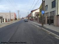 Imagine atasata: Muzicescu - 2015.11.15 - 38.jpg